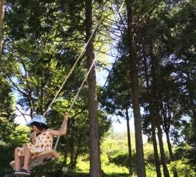 ハイジのブランコ