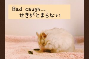 咳が止まらない