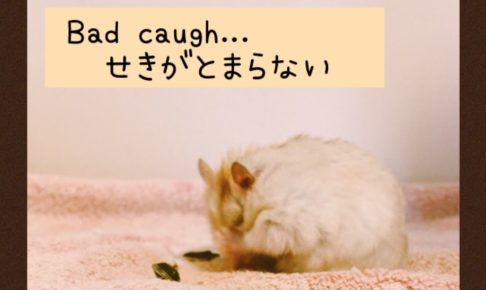 咳が止まらない