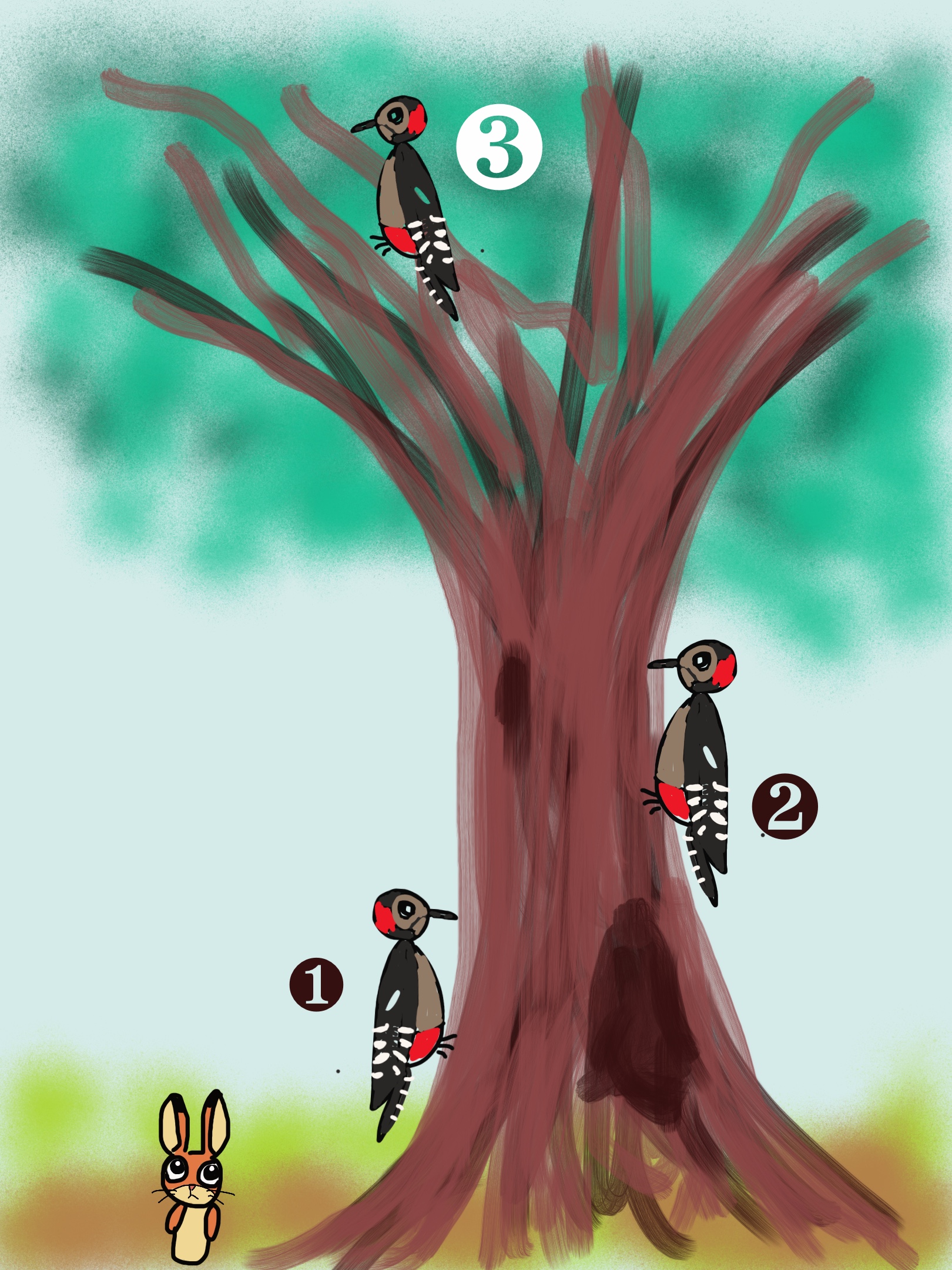 きつつきの商売 小学3年国語わかば コロナ休校家庭学習指導案 Maikoism