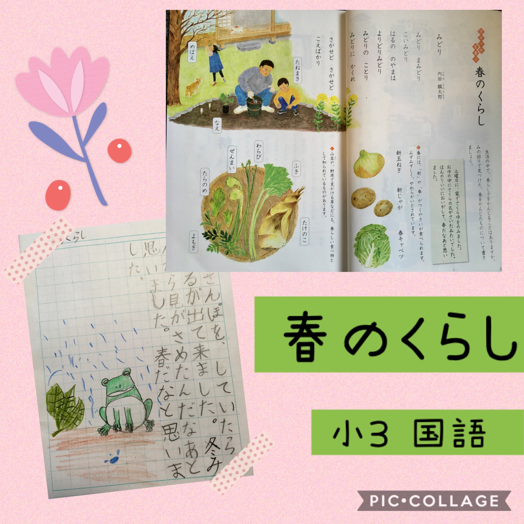 春のくらし 小３国語わかば コロナ休校家庭学習指導案 Maikoism