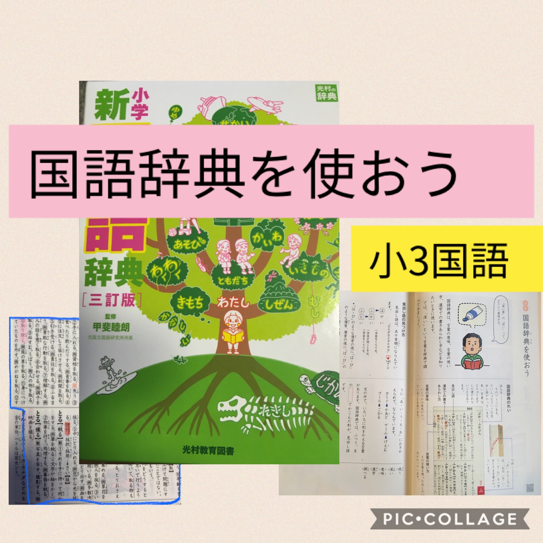 国語辞典を使おう 小3国語 わかば コロナ休校家庭学習指導案 Maikoism 国語辞典を使おう 小3国語 わかば コロナ休校家庭学習指導案 Maikoism