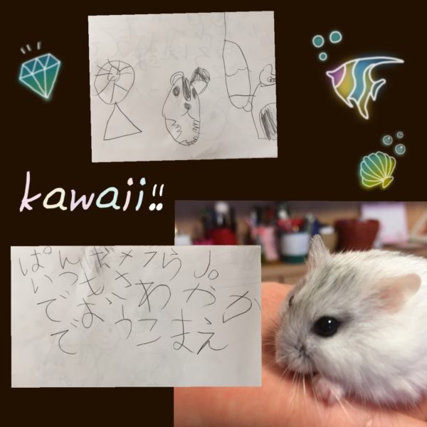 ジャンガリアンハムスターのパンダ