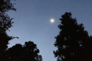 鳴滝森林公園の夜