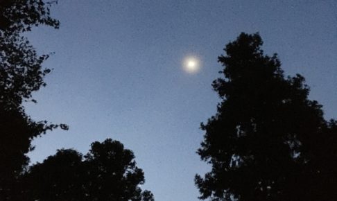 鳴滝森林公園の夜