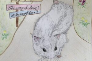 which direction do you going in?