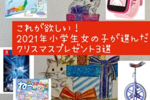 2021小学生女の子が選んだクリスマスプレゼント